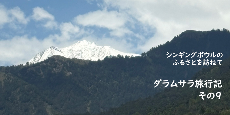 ダラムサラ旅行記(9)